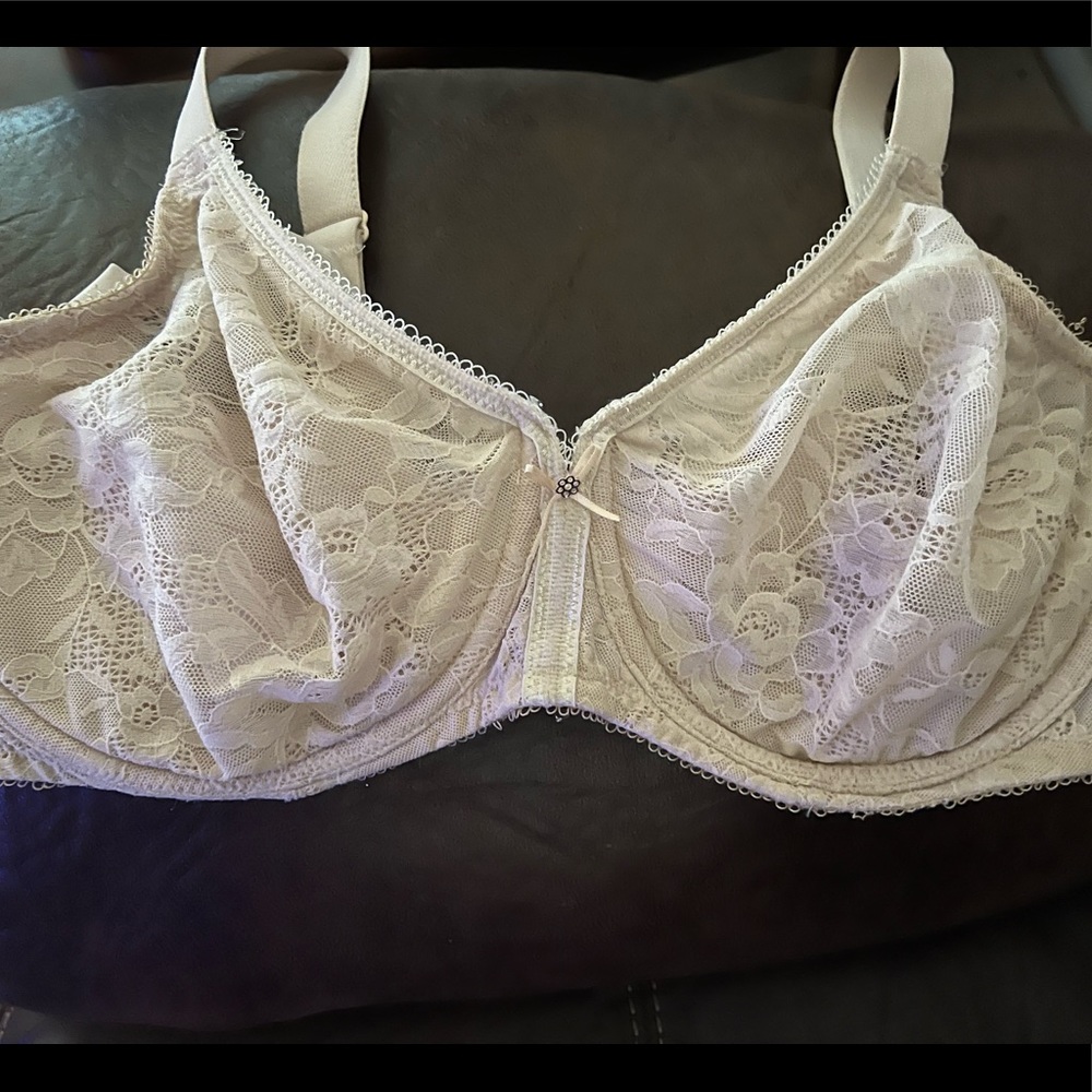 Wacoal- Halo Lace Full Figure Underwire Bra, Gently Used, 36DDD